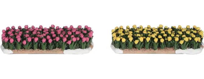 Tulpenveld l10b4.5h2cm 2st, Luville Efteling, tuincentrumoutlet