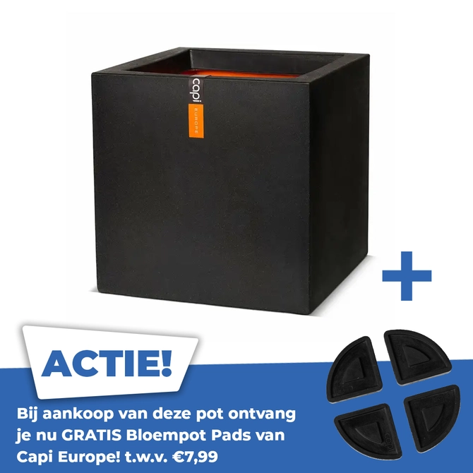 Urban Smooth NL II bloempot vierkant zwart 30x30x30 cm plantenbak Capi - afbeelding 1