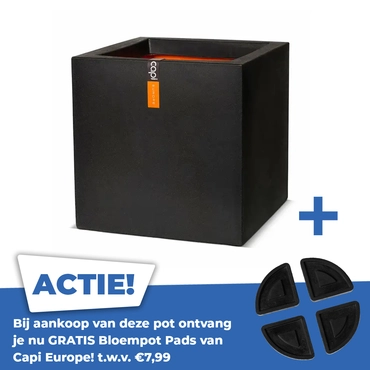 Urban Smooth NL II bloempot vierkant zwart 30x30x30 cm plantenbak Capi
