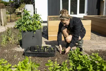 Planter square Smooth NL 40x40x40 black sfeer, Capi Europe, tuincentrumoutlet