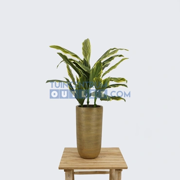 Vaas alaska d25h50cm goud, sfeer, HS potterie, www.tuincentrumoutlet.com