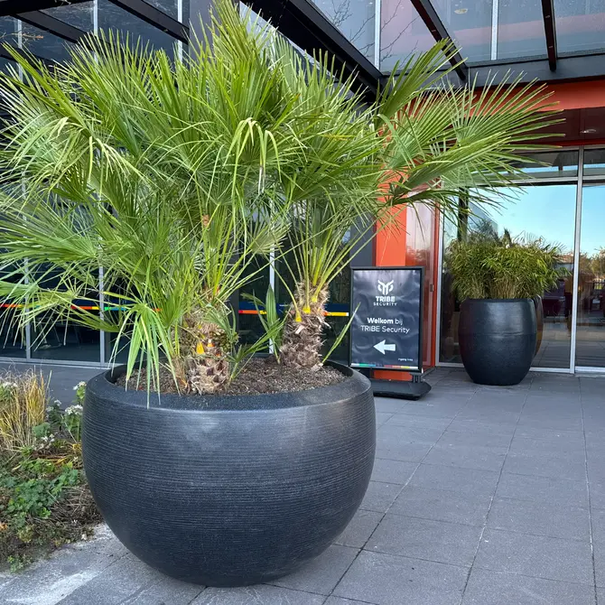 Vaas bol granite 177x120 zwart - afbeelding 2