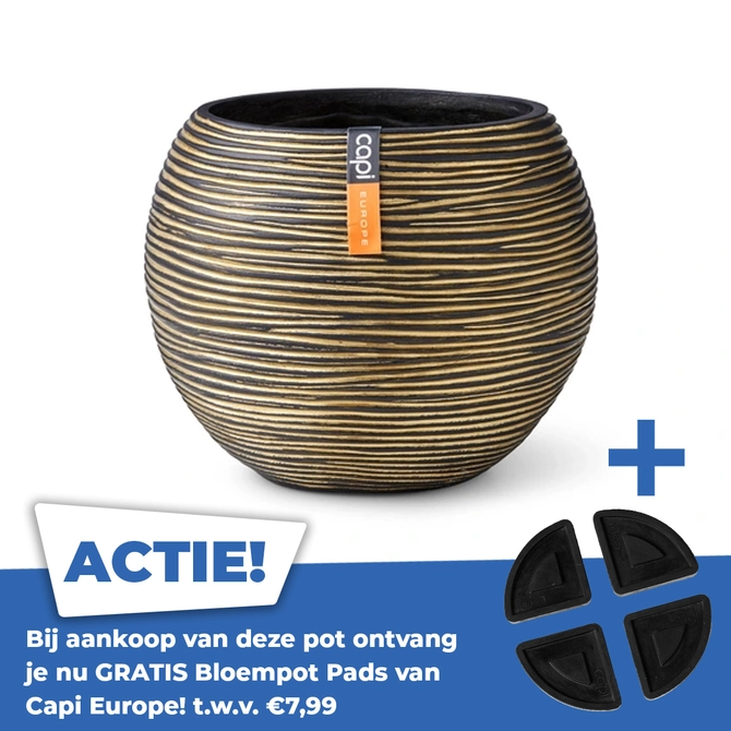 Vaas Bol Rib 12x10 Zwart Goud - afbeelding 1