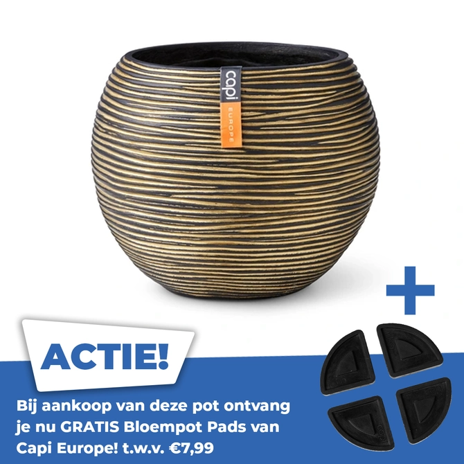 Vaas Bol Rib 29x26 Zwart Goud - afbeelding 1