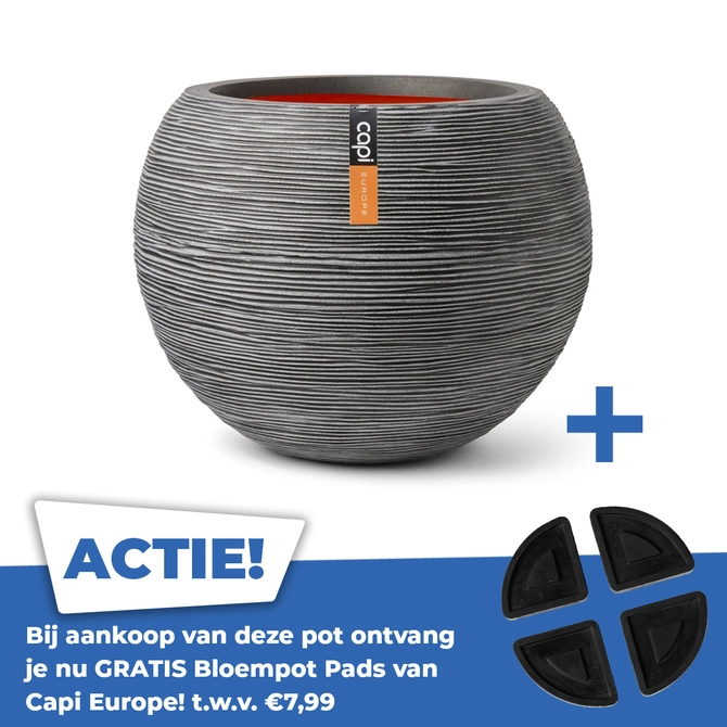 Vaas bol Rib NL Ø40 H32 antraciet - afbeelding 1