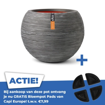 Vaas bol rib nl d62h48cm antraciet
