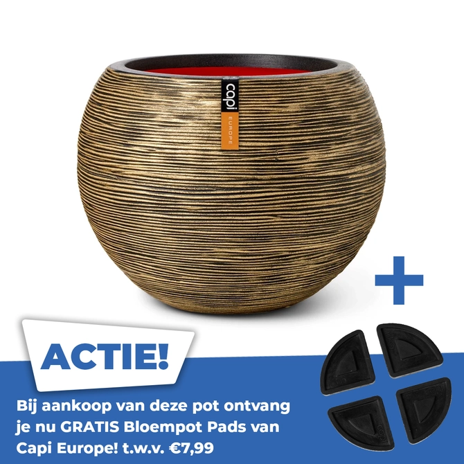 Vaas bol rib nl ii d62xh48 zwart gd - afbeelding 1