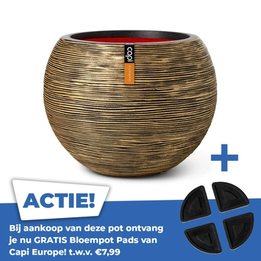 Vaas bol rib nl ii d62xh48 zwart gd