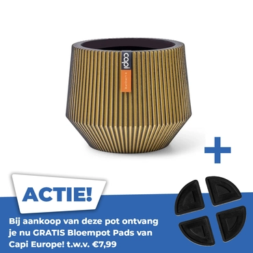 Vaas cilinder geo groove d19h16 goud