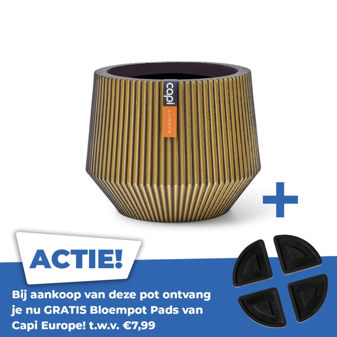 Vaas cilinder geo groove d9h8 zwart/goud - afbeelding 1
