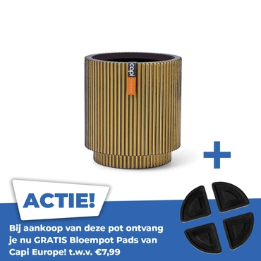 Vaas cilinder groove d11h12 goud - afbeelding 1