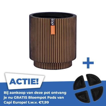 Vaas cilinder groove d15h17 goud