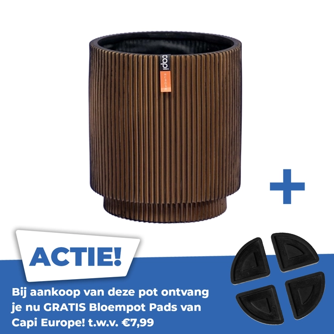 Vaas cilinder groove d19h21 goud - afbeelding 1