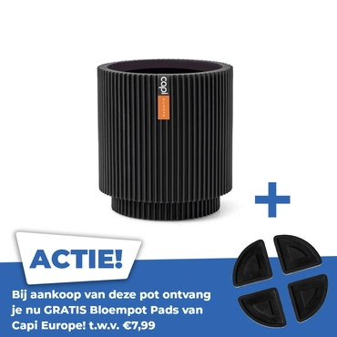 Vaas cilinder groove d19h21cm zwart - afbeelding 1