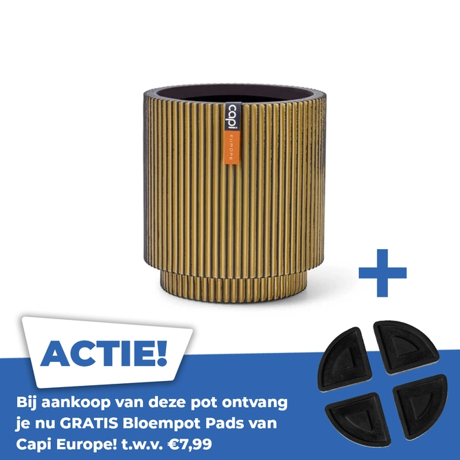 Vaas cilinder groove d23h25 goud - afbeelding 1