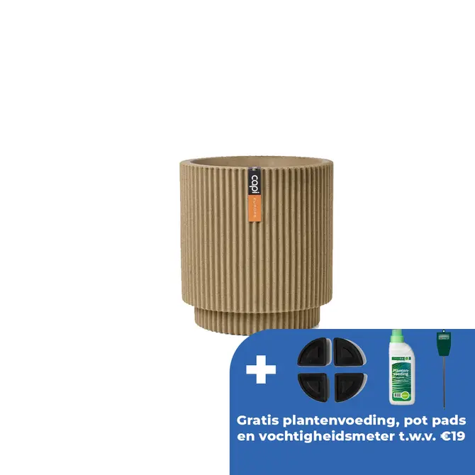 Vaas cilinder groove nl d36h38 beige - afbeelding 1