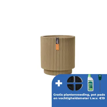 Vaas cilinder groove nl d44h46 beige - afbeelding 1