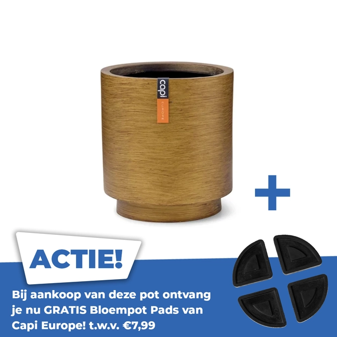 Vaas cilinder retro d19h21 goud - afbeelding 1