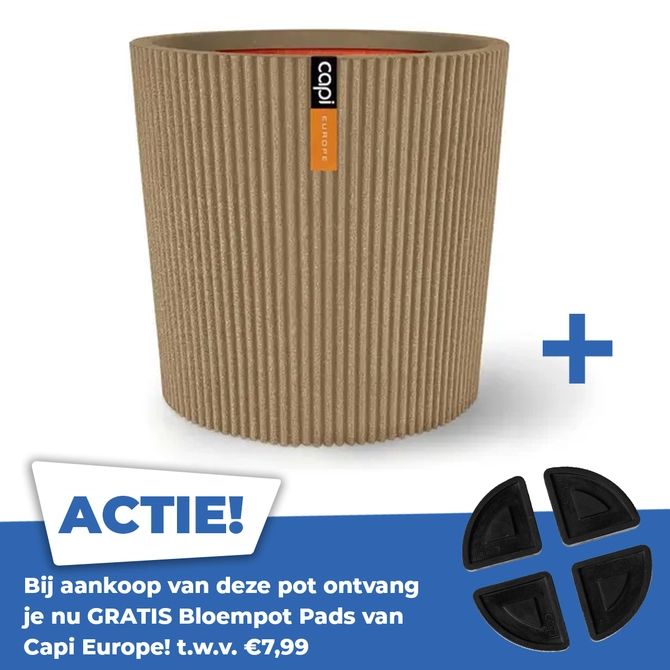 Vaas conisch groove nl d36h34 beige - afbeelding 1