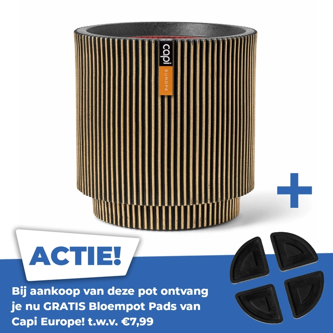 Vaas cylinder groove nl 36x38cm zwart goud - afbeelding 1