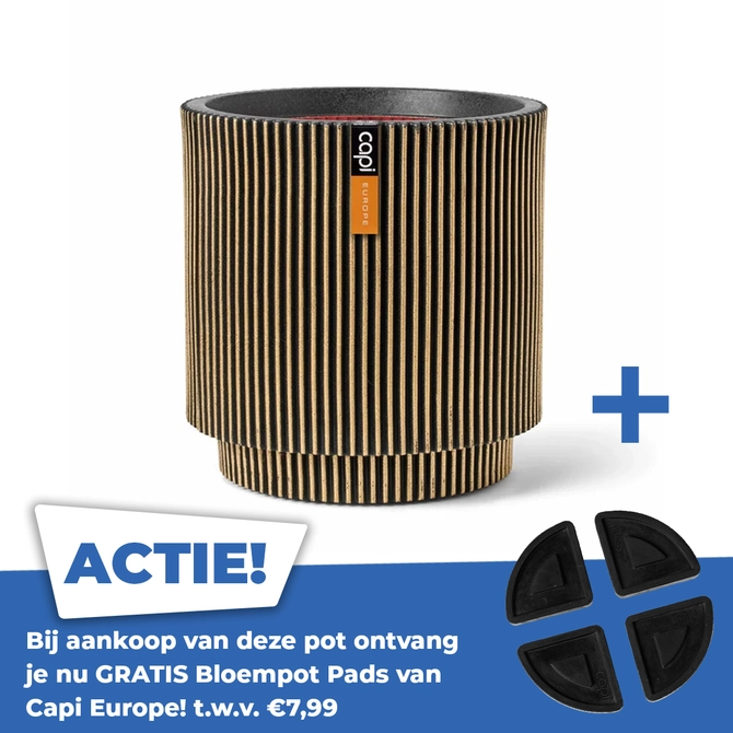 Vaas cylinder groove nl 44x46cm zwart goud - afbeelding 1