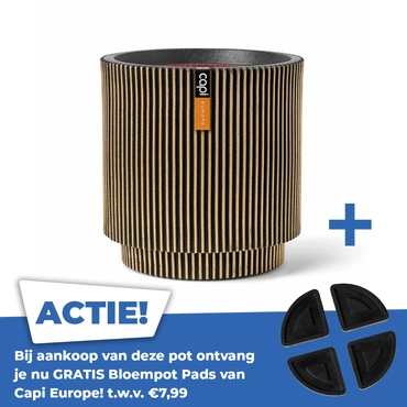 Vaas cylinder groove nl 44x46cm zwart goud