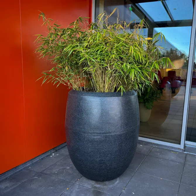 Vaas eleg deluxe granite 85x100 zw - afbeelding 2