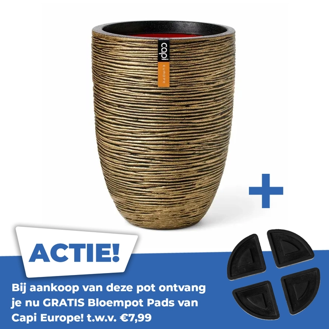 Vaas eleg laag rib d36xh47 zwart gd - afbeelding 1