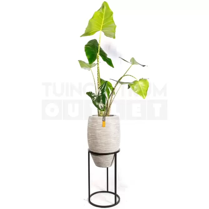 Vaas elegant deluxe Rib NL Ø45 H72 ivoor met standaard - afbeelding 3