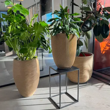 Vaas elegant groove d46h58cm beige - afbeelding 3