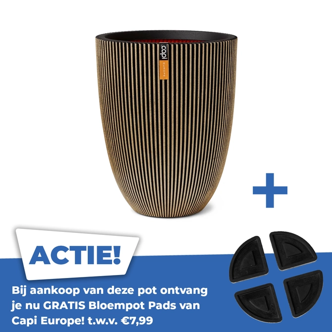 Vaas elegant laag Groove NL 34x46 zwart goud - afbeelding 1