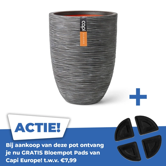 Vaas elegant laag Rib NL Ø36 H47 antraciet - afbeelding 1