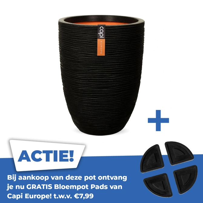 Vaas elegant laag Rib NL Ø46 H58 zwart - afbeelding 1