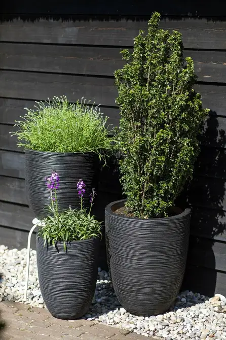 Vase elegant low Rib NL 46x58 black sfeerbeeld, Capi Europe, tuincentrumoutlet