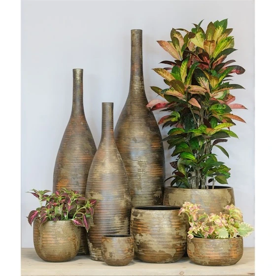 Funchal serie goud, Floran, tuincentrumoutlet.com