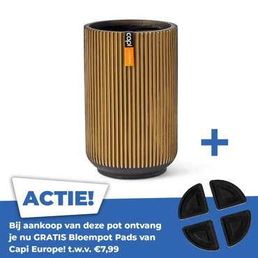 Vaas Hoog Groove 14x22 Zwart Goud - afbeelding 1