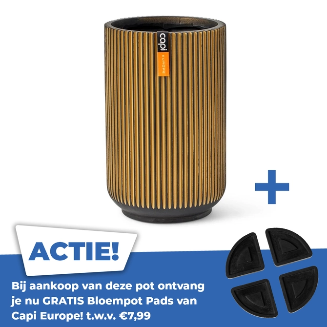 Vaas hoog groove d17h27 zwart goud - afbeelding 1