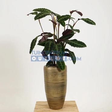 Vaas Kos goud - Ø32 h60 cm sfeer, HS potterie, Tuincentrum Outlet