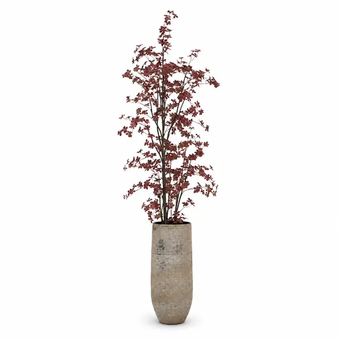 Vaas kyoto setfoto, hspotterie, tuincentrumoutlet