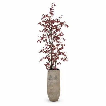 Vaas kyoto setfoto, hspotterie, tuincentrumoutlet