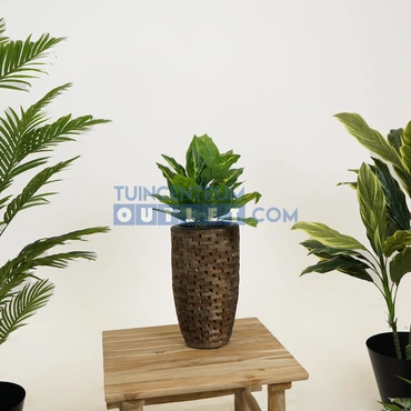 vaas leuca donkerbruin sfeer, HBX, tuincentrumoutlet
