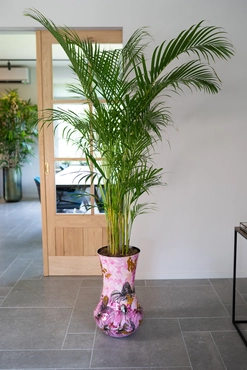 Vaas polly pink d35h60cm sfeer, Ter Steege, tuincentrumoutlet