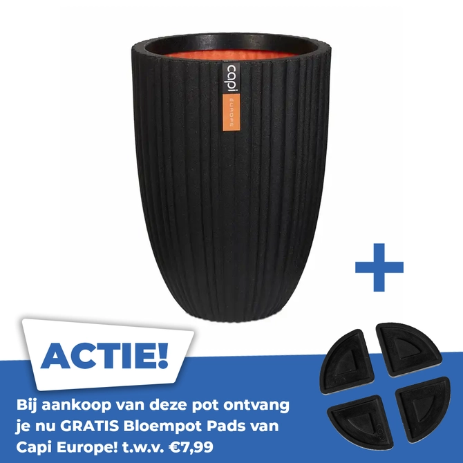 Vase elegant low Tube NL 34x46 black - afbeelding 1