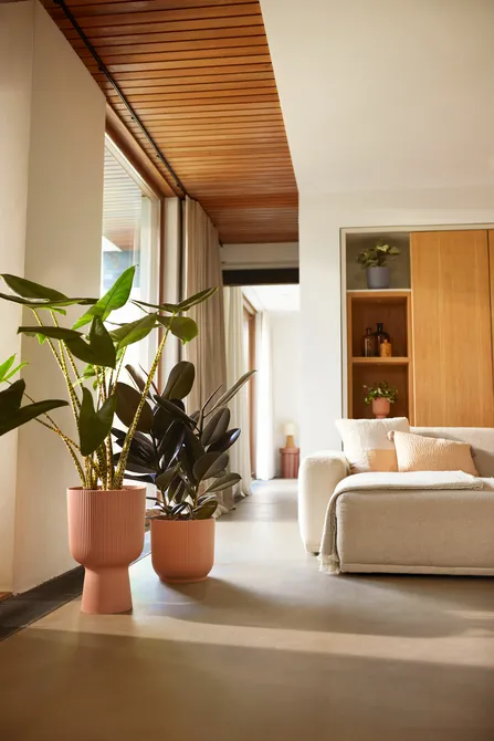 Vibes fold coupe d30 delicaat roze sfeerfoto, Elho, tuincentrumoutlet.com