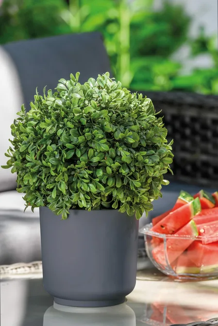 Vita bloempot Satina 30 antraciet sfeer, Vita, tuincentrumoutlet.com