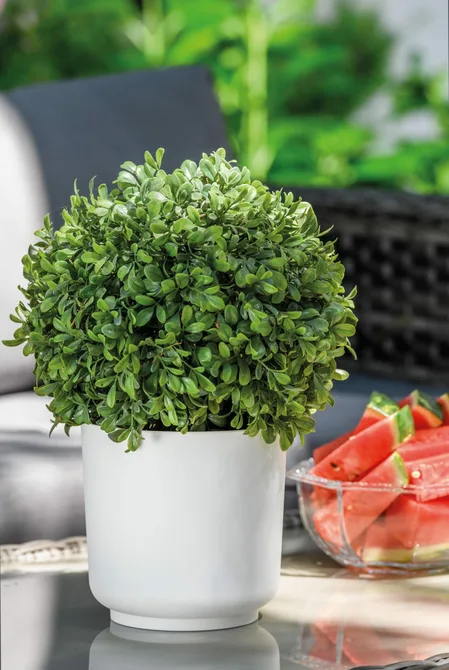 Vita bloempot Satina 30 wit sfeerbeeld, Vita, tuincentrumoutlet.com