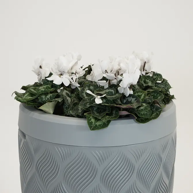 Vita Regenton Flow grijs 240L + Kraan met Gardena koppeling + Plantenbak - afbeelding 3