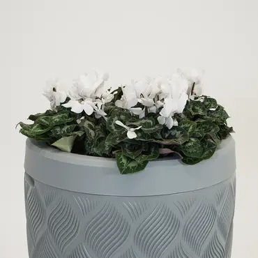 Vita Regenton Flow grijs 240L + Kraan met Gardena koppeling + Plantenbak - afbeelding 3