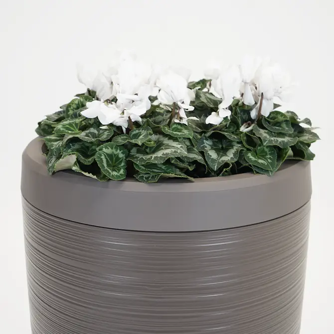 Vita Regenton Gobi bruin 240L + Kraan met Gardena koppeling + Plantenbak - afbeelding 3
