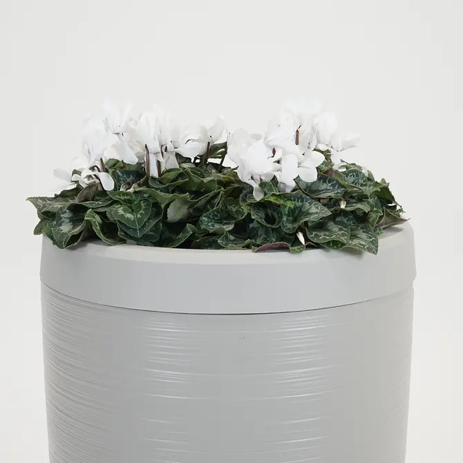 Vita Regenton Gobi licht grijs 240L + Kraan met Gardena koppeling + Plantenbak - afbeelding 3